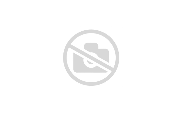 Сетка для шлема VECTOR